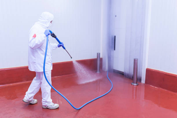 Best Sidewalk and Walkway Cleaning  in Summerville, SC